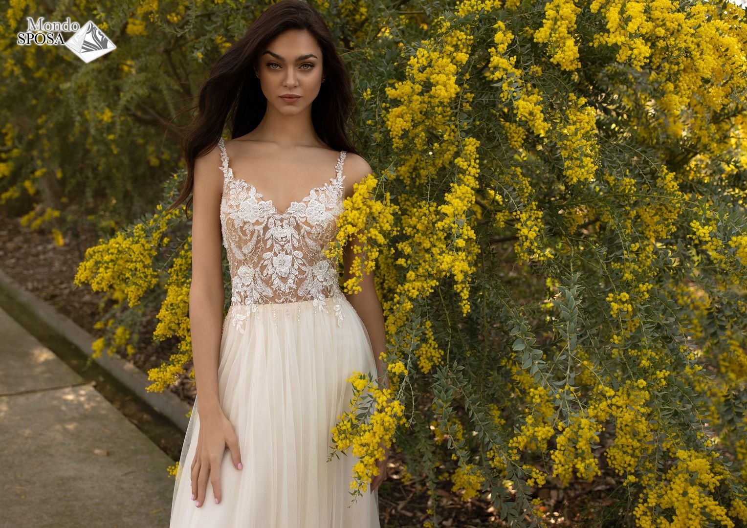 sposa-pronovias-235-3-mondosposa